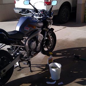 Grims FZ6