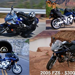 FZ6 In Action
