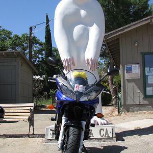 Yeti Rider