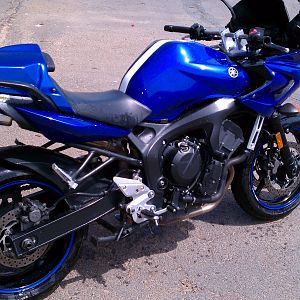 FZ after a bath