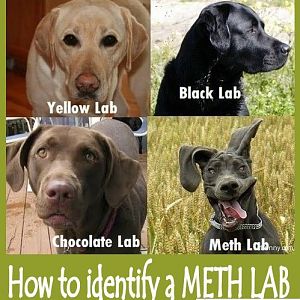 How to spot a Meth Lab
