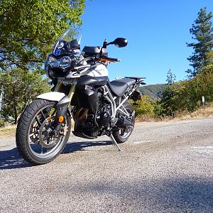 Not a FZ