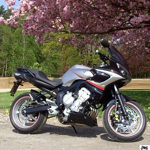 update_fz6-_04_bugsterkiton