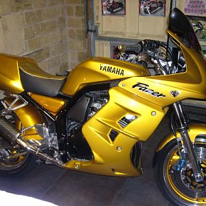 gold fazer 600