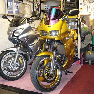 gold fazer 600