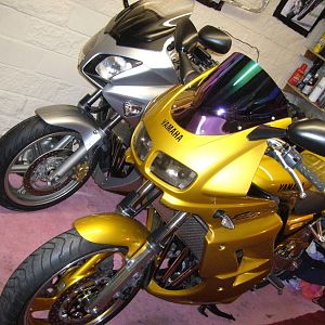 gold fazer 600