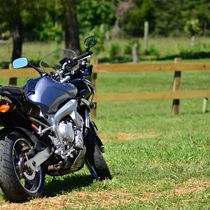 Shenandoah Ride - 2013