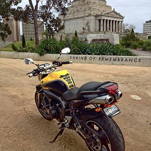 the naked wasp  at  the shrine of rememberance