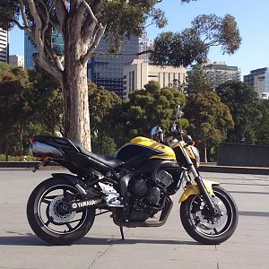 the Naked Wasp with Melbourne in the background