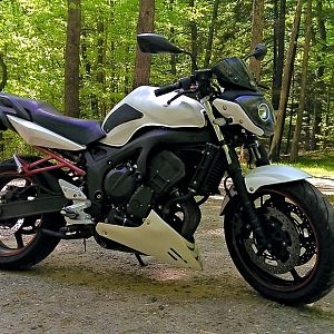 Lawlbergs FZ6(75R)