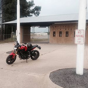 Rebel