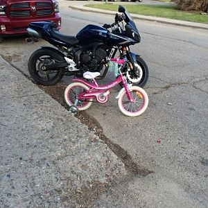 Pink vs Blue ?