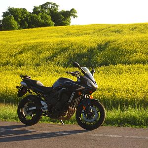 08" FZ6
