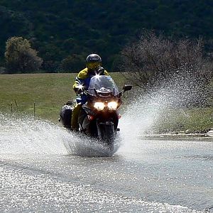 Splash!