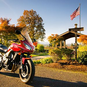 Mid-Fall Veteran's Day FZ6