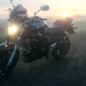 misty morning