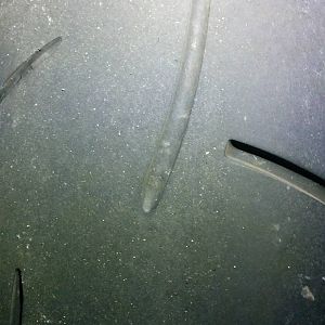 Rear tire wear @ 10K miles