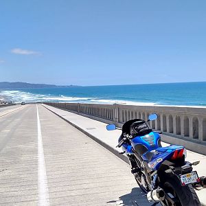 Torrey Pines