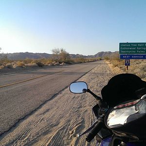 Joshua Tree