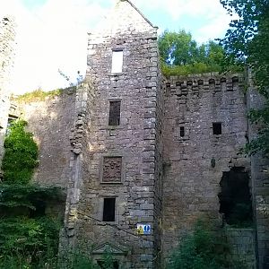 Castle in the woods