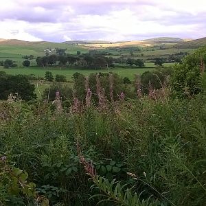 Near Dailly