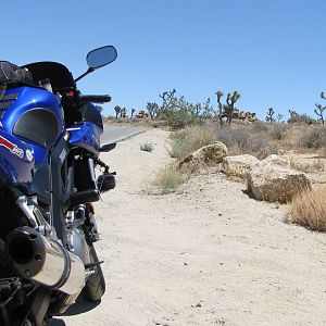 High Desert Rider