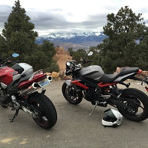 Sierra Nevada's on February 14
