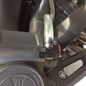 scratched stebel horn housing