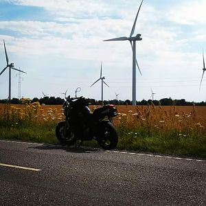 Danish Windmills