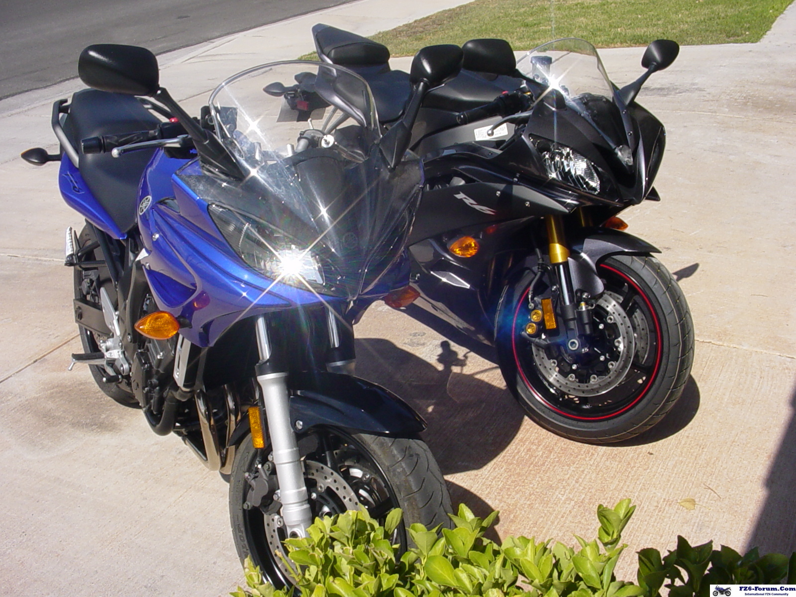 '07 R6 and '06 FZ6