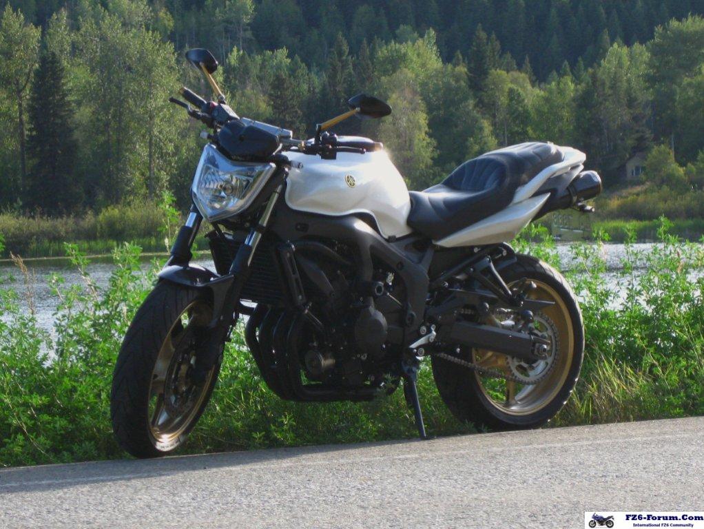 2007 FZS converted to FZ6N
