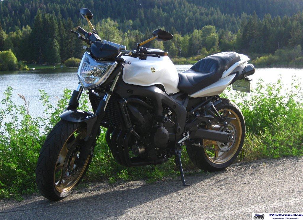 2007 FZS converted to FZ6N