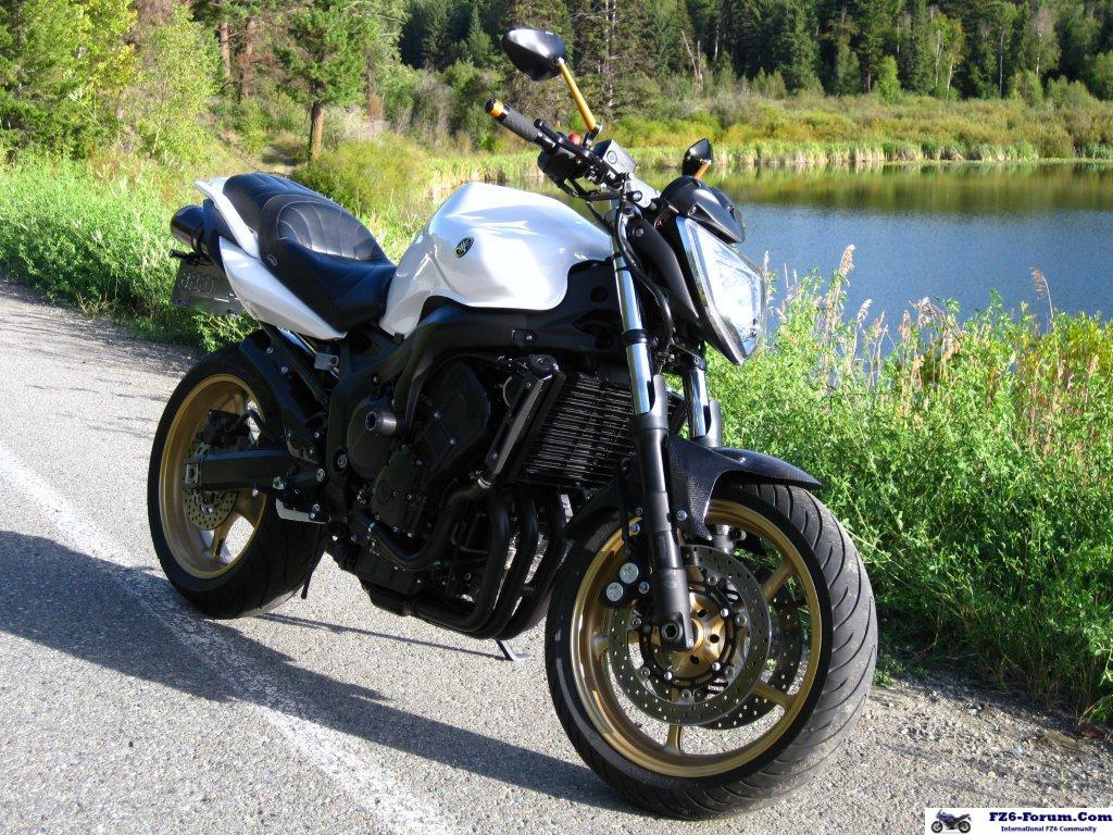 2007 FZS converted to FZ6N