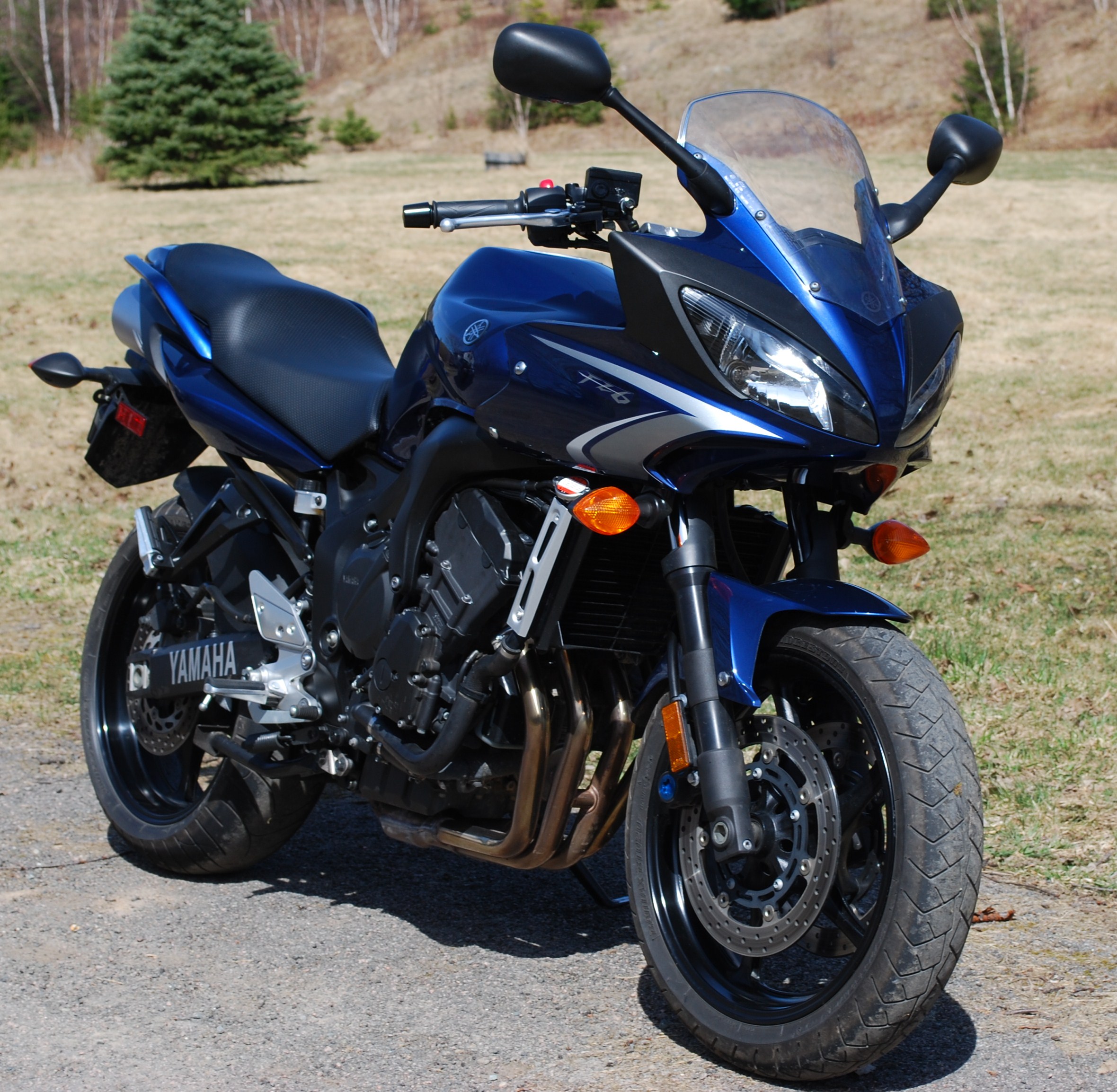 2009 FZ6