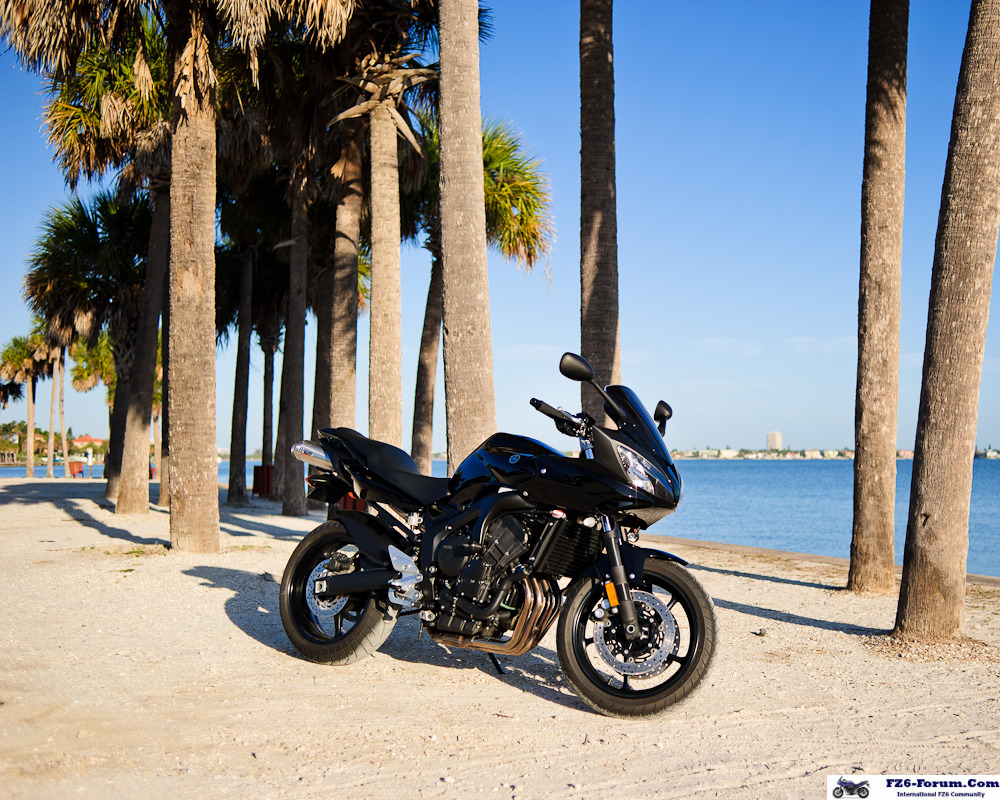2009 FZ6