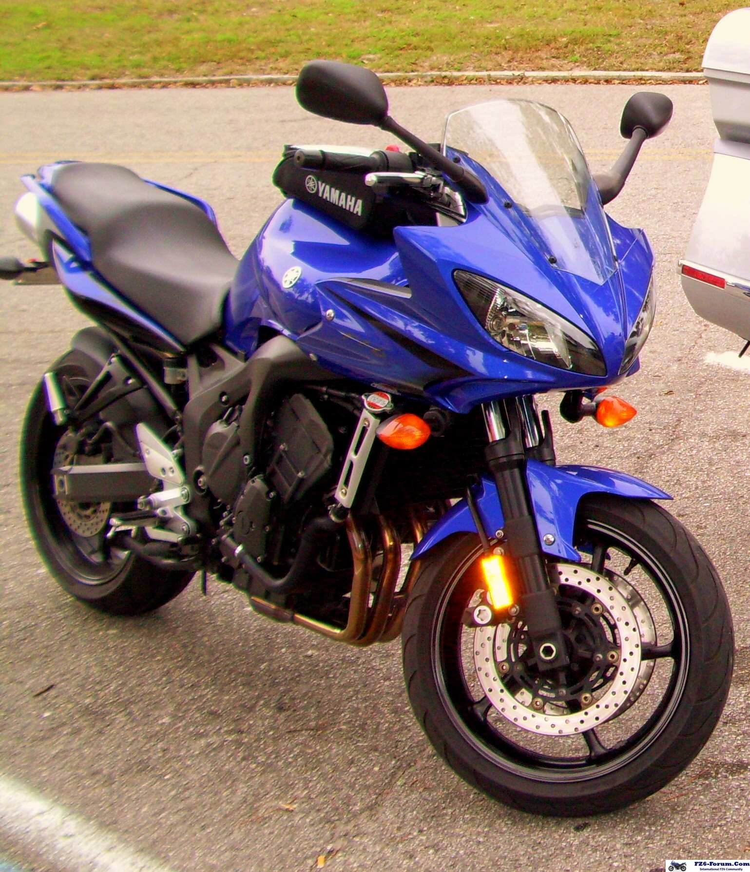 A real beauty!