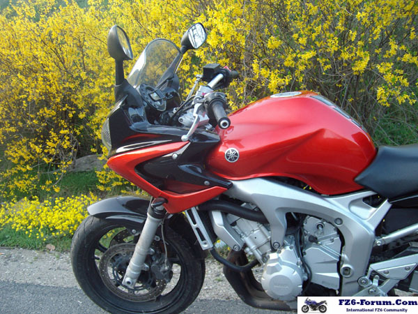 ALIM2880