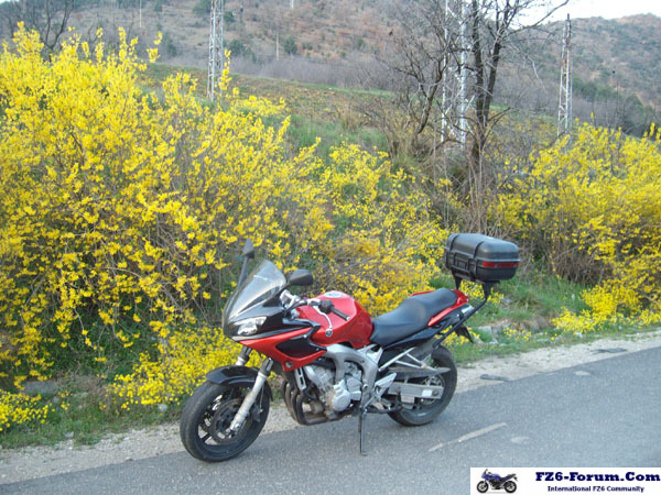 ALIM2883