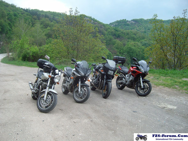 ALIM2995