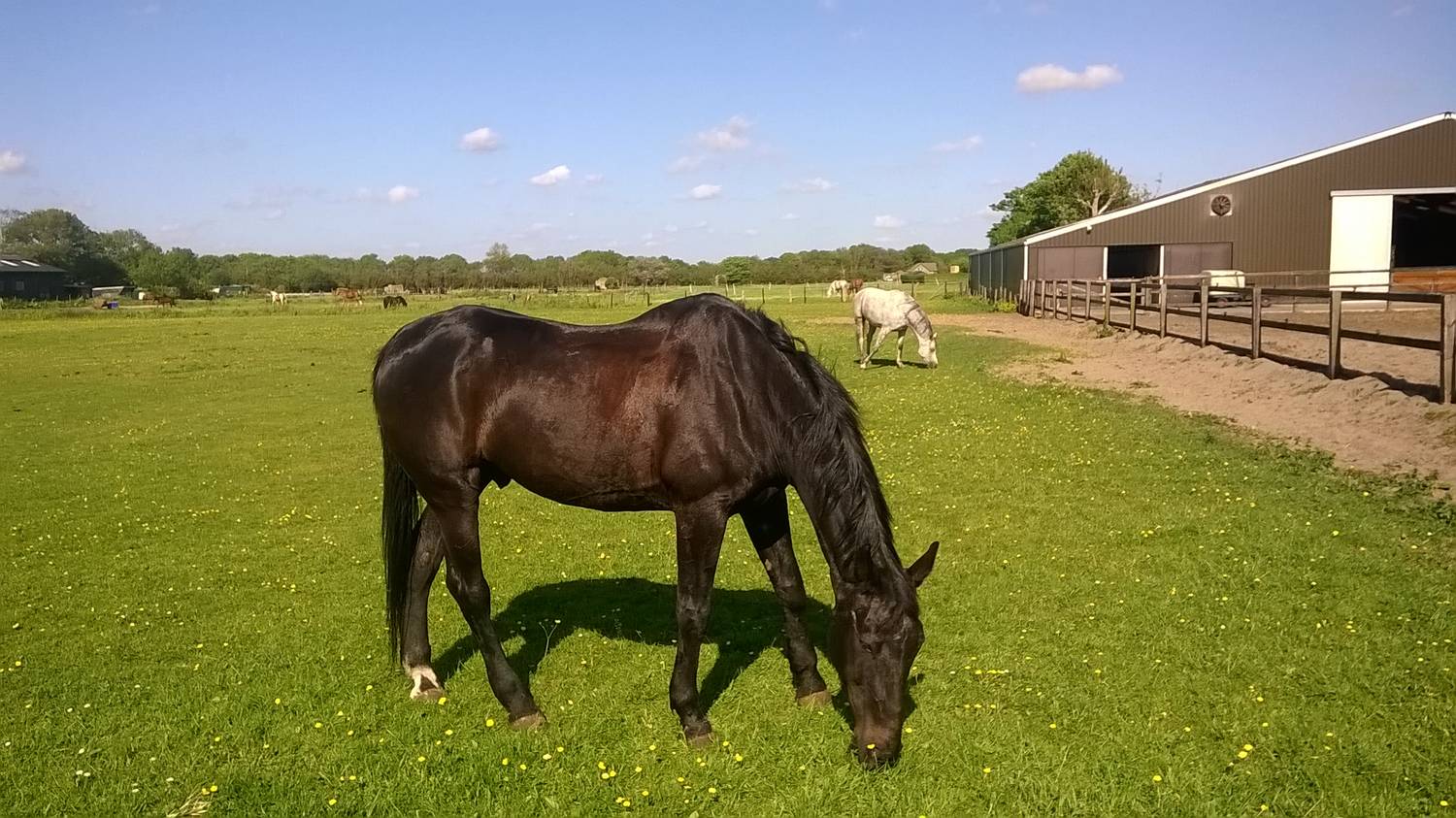 Arthur in the field