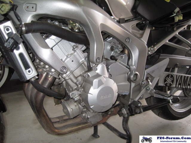 Before Paint