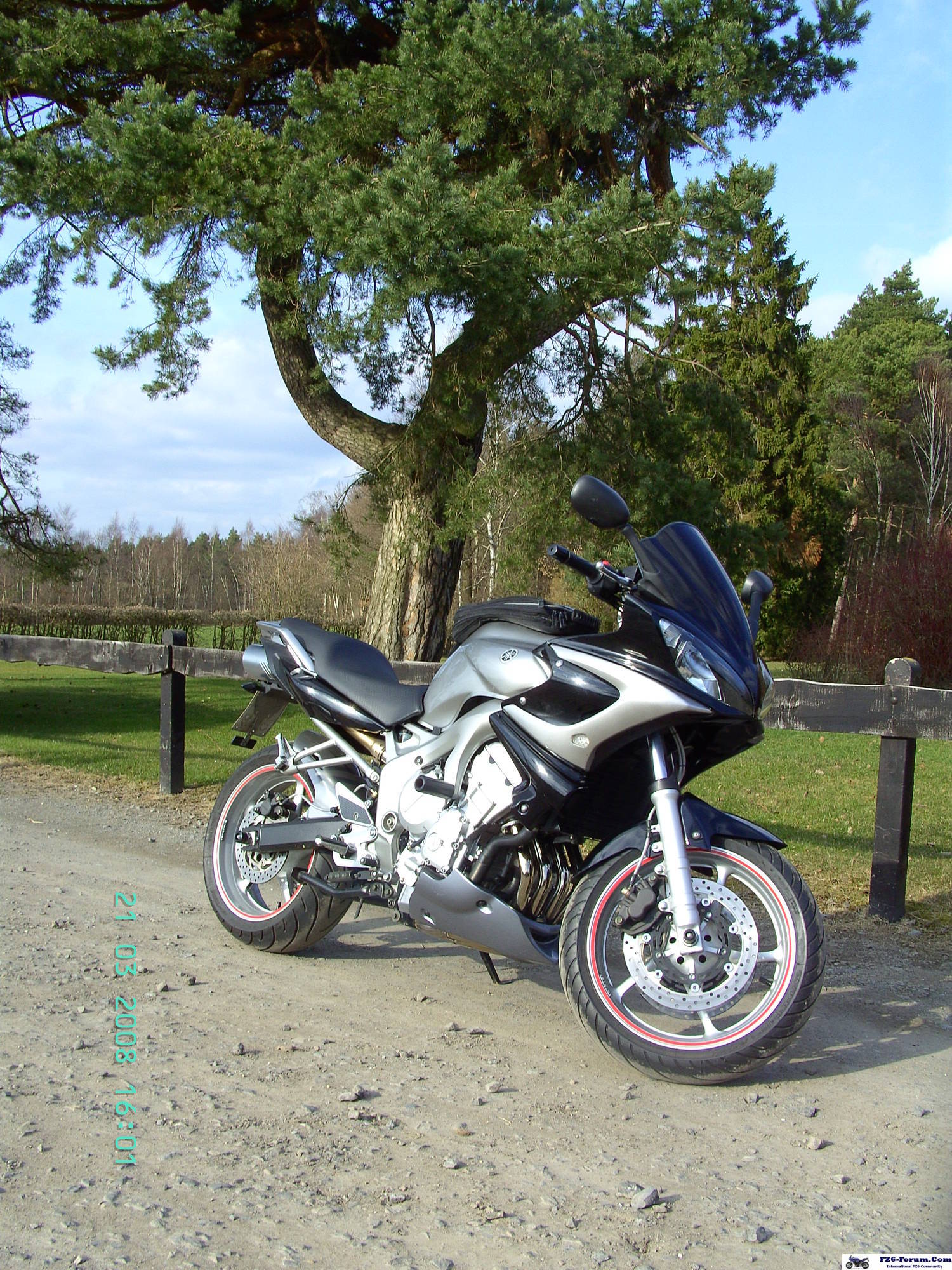 bugsterkiton's FZ6