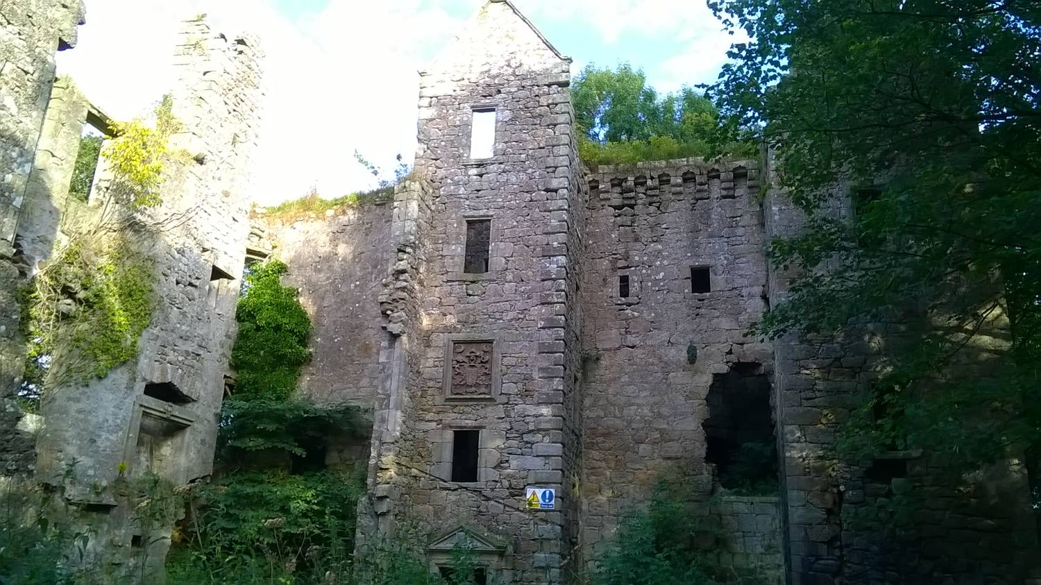 Castle in the woods
