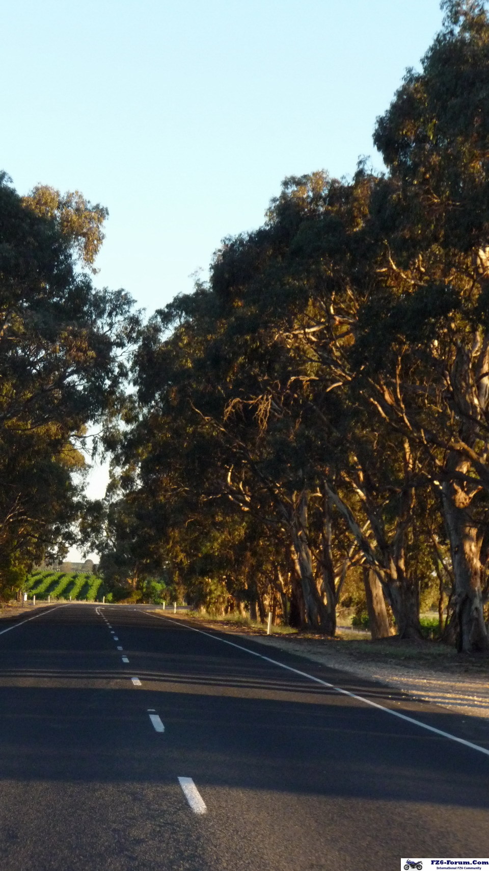 Coonawarra!