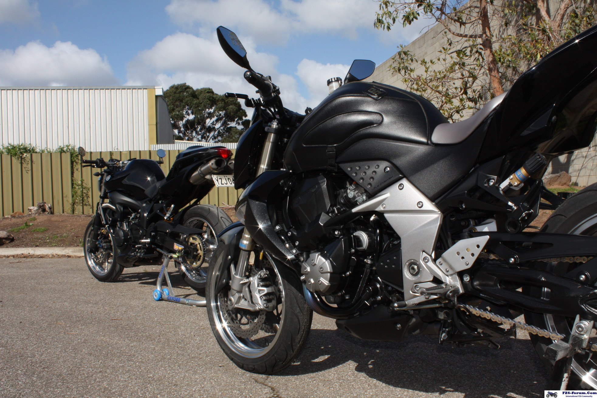Damien Late September 2009
