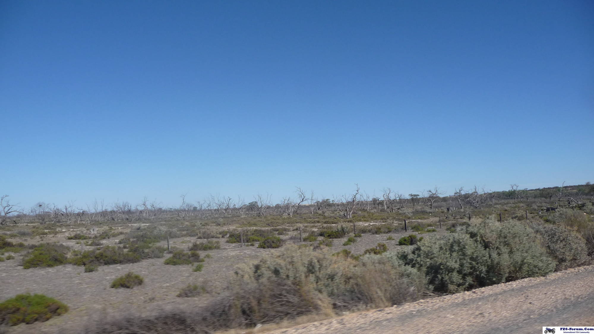 Drought in Riverland - South Australia