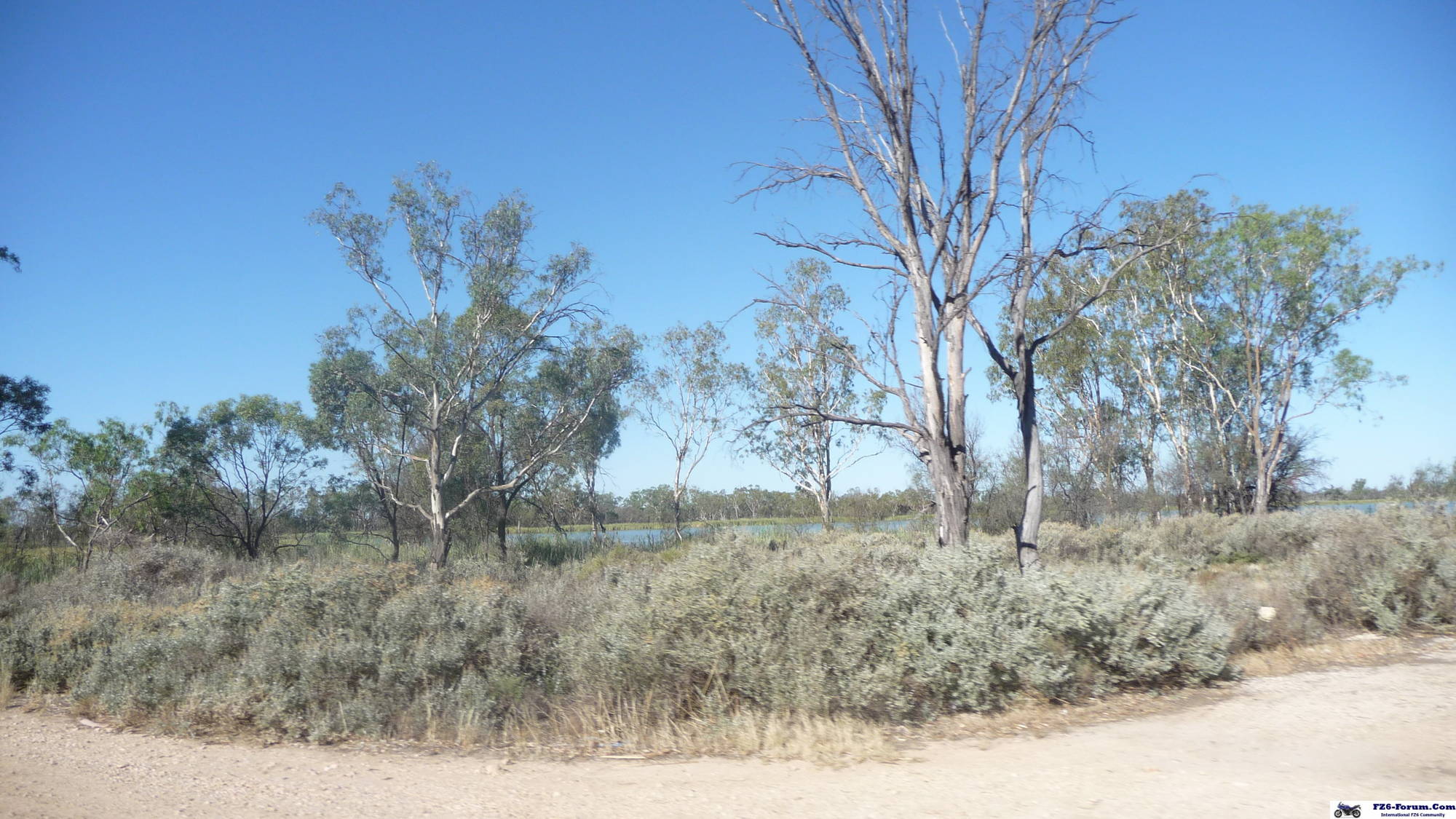 Drought in Riverland - South Australia
