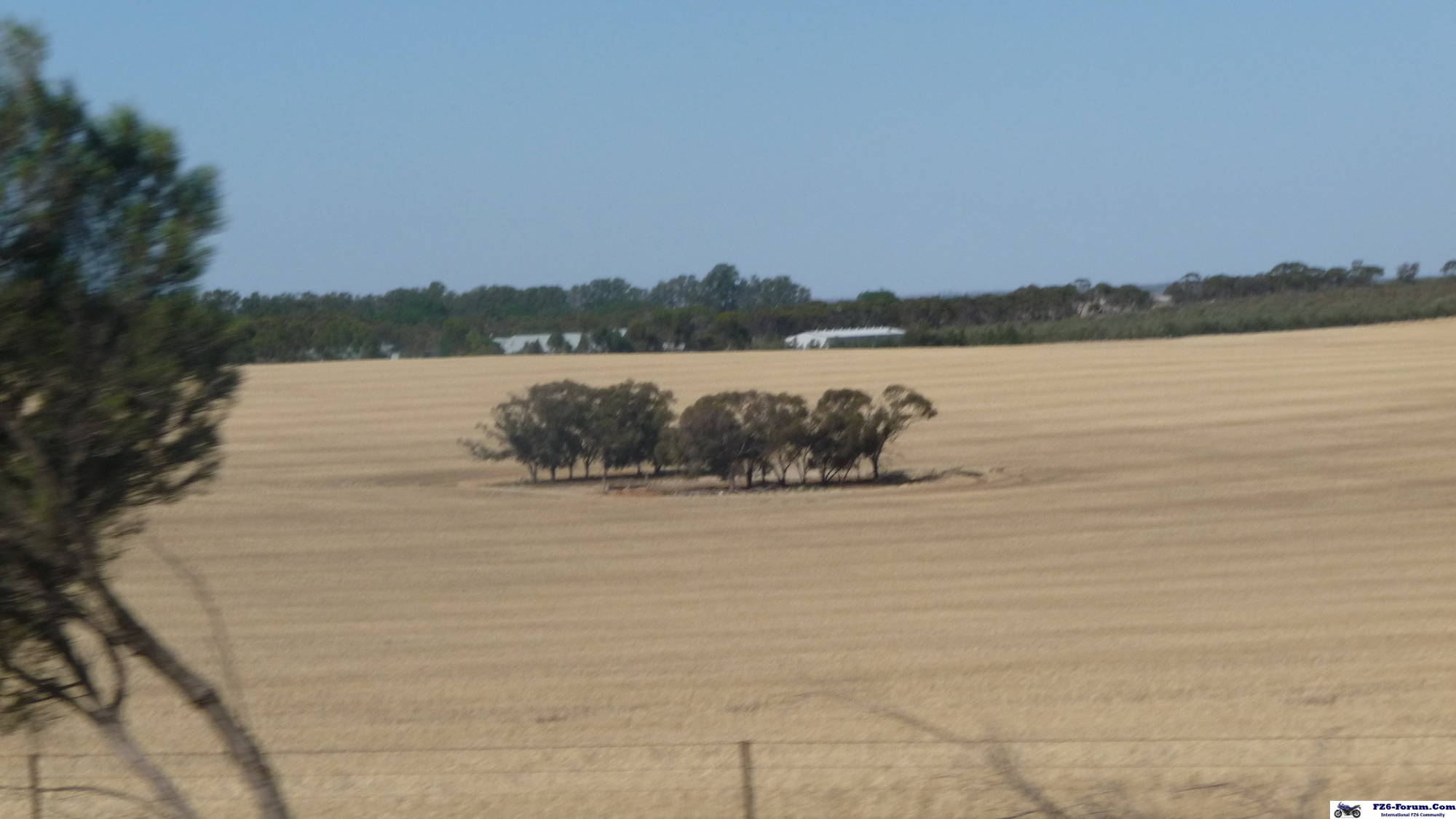 Drought in South Australia