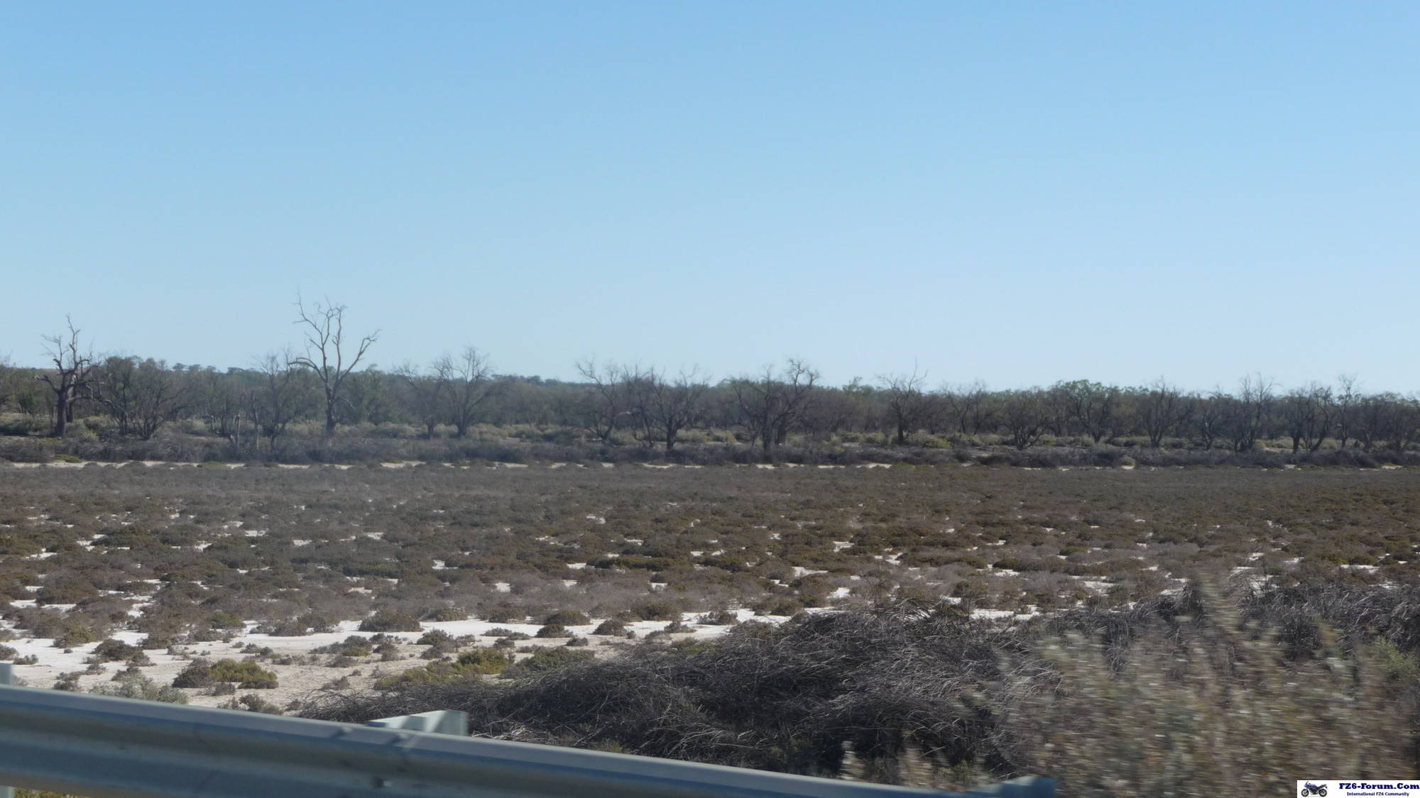 Drought in the Riverland - South Australia