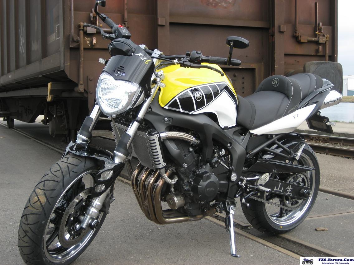 Dutch FZ6N